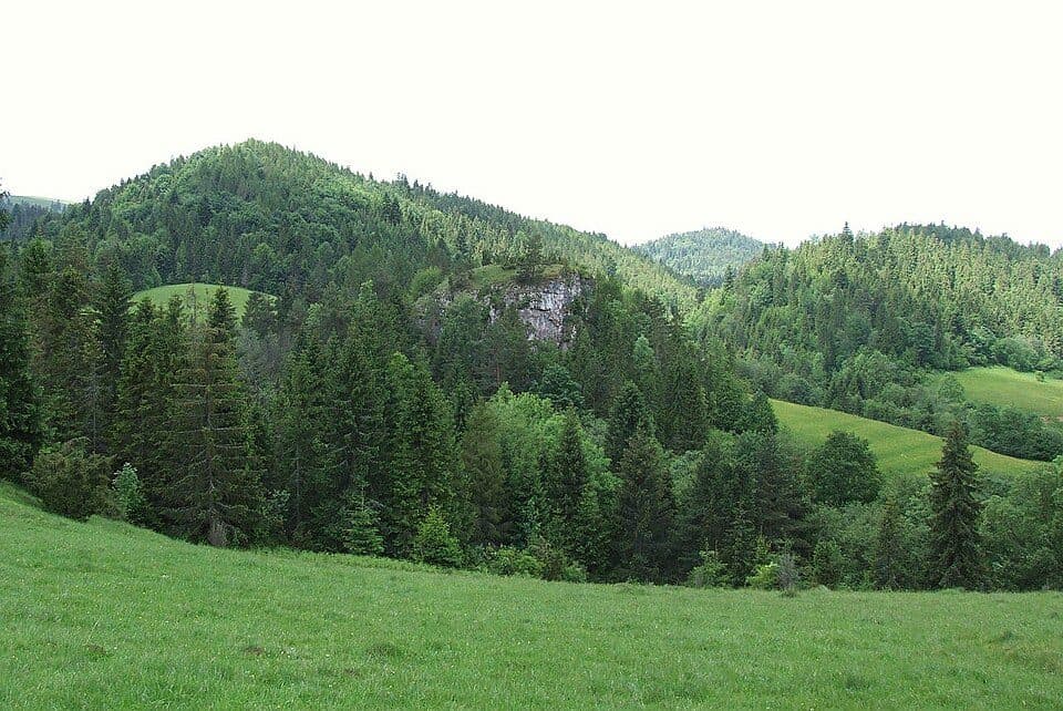 Krupianka (Pieniny) — zdjęcie 2