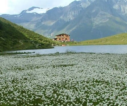 Bergerseehütte — photo 3