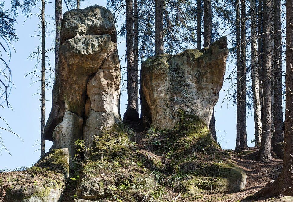 Lubawka - Różana