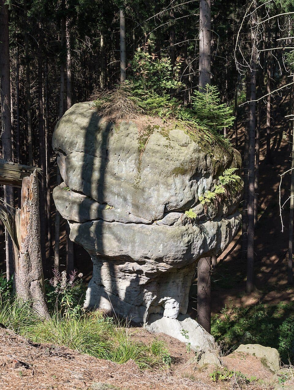 Rezerwat Głazy Krasnoludków — fotografie 3
