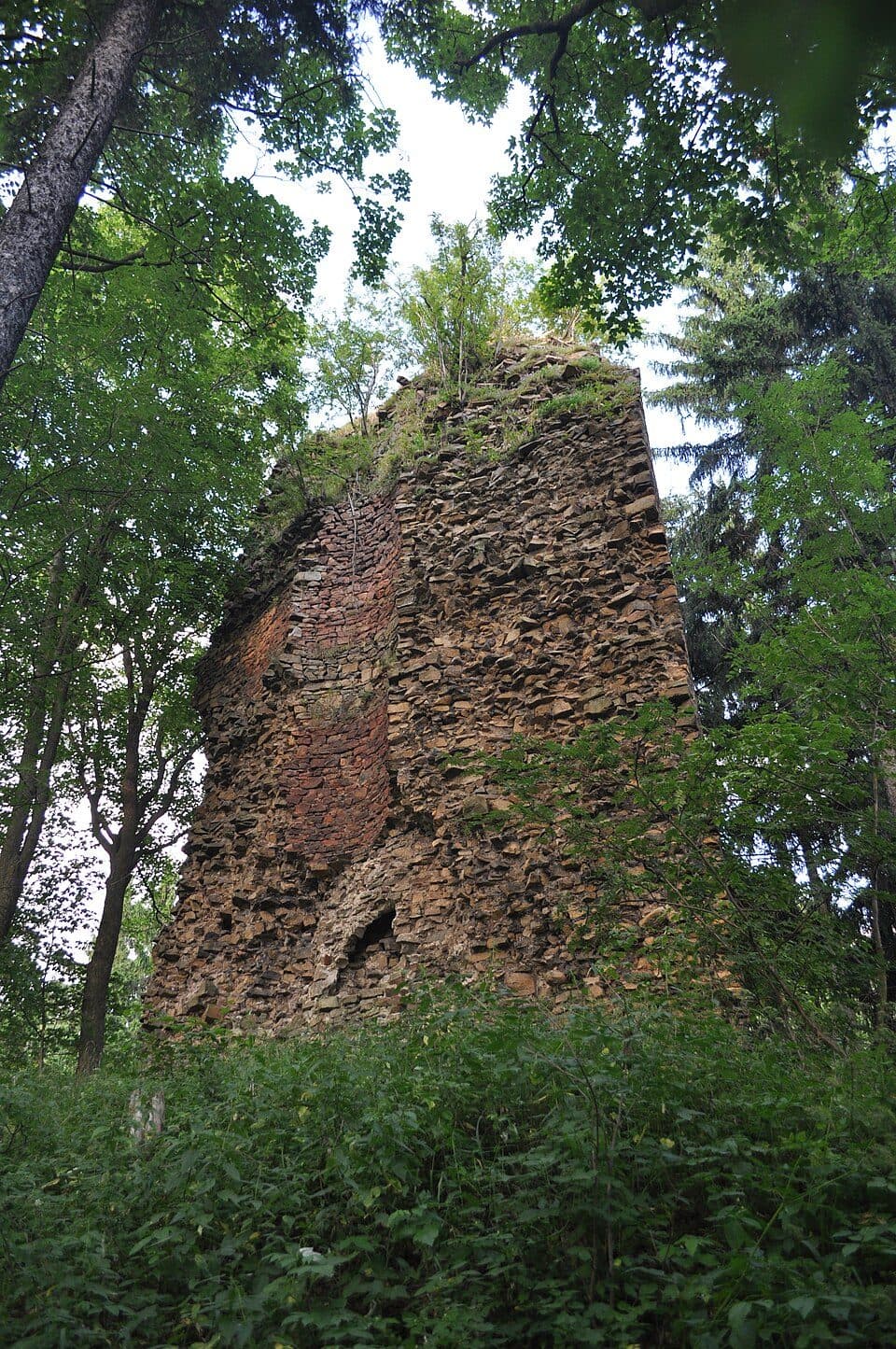 Zamek w Czarnym Borze