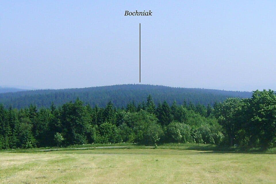 Bochniak