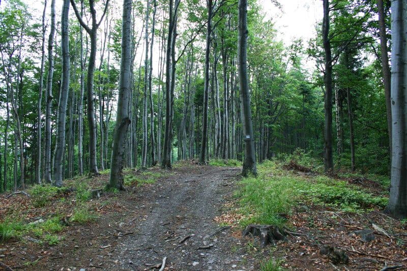 Ostra Góra (Góry Bardzkie)