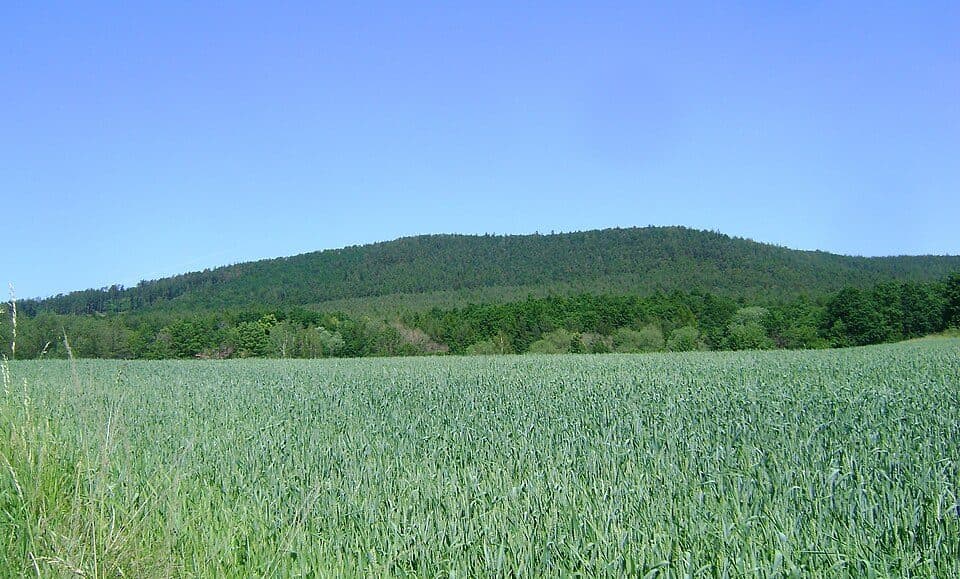 Brzeźnica (góra)