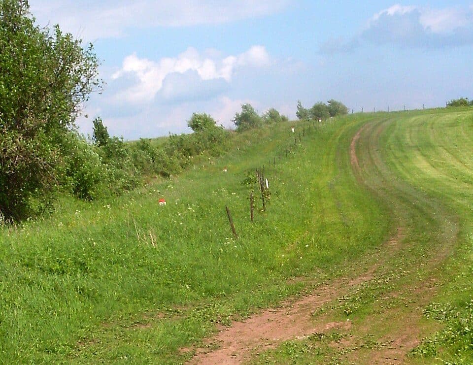 Kamieńczyk (Góry Bystrzyckie)