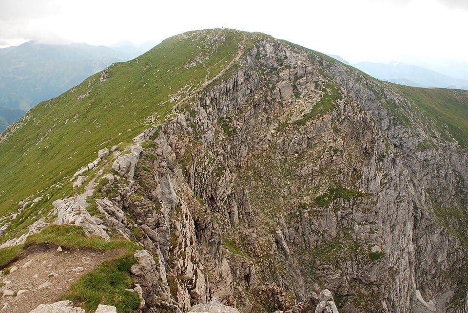 Ciemniak