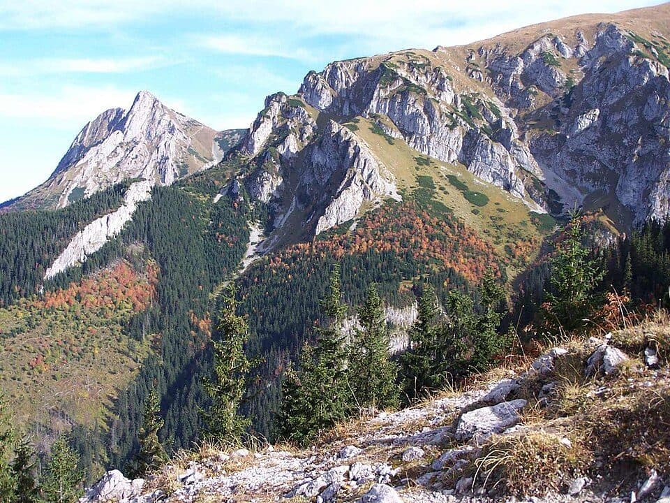 Małołączniak — zdjęcie 2