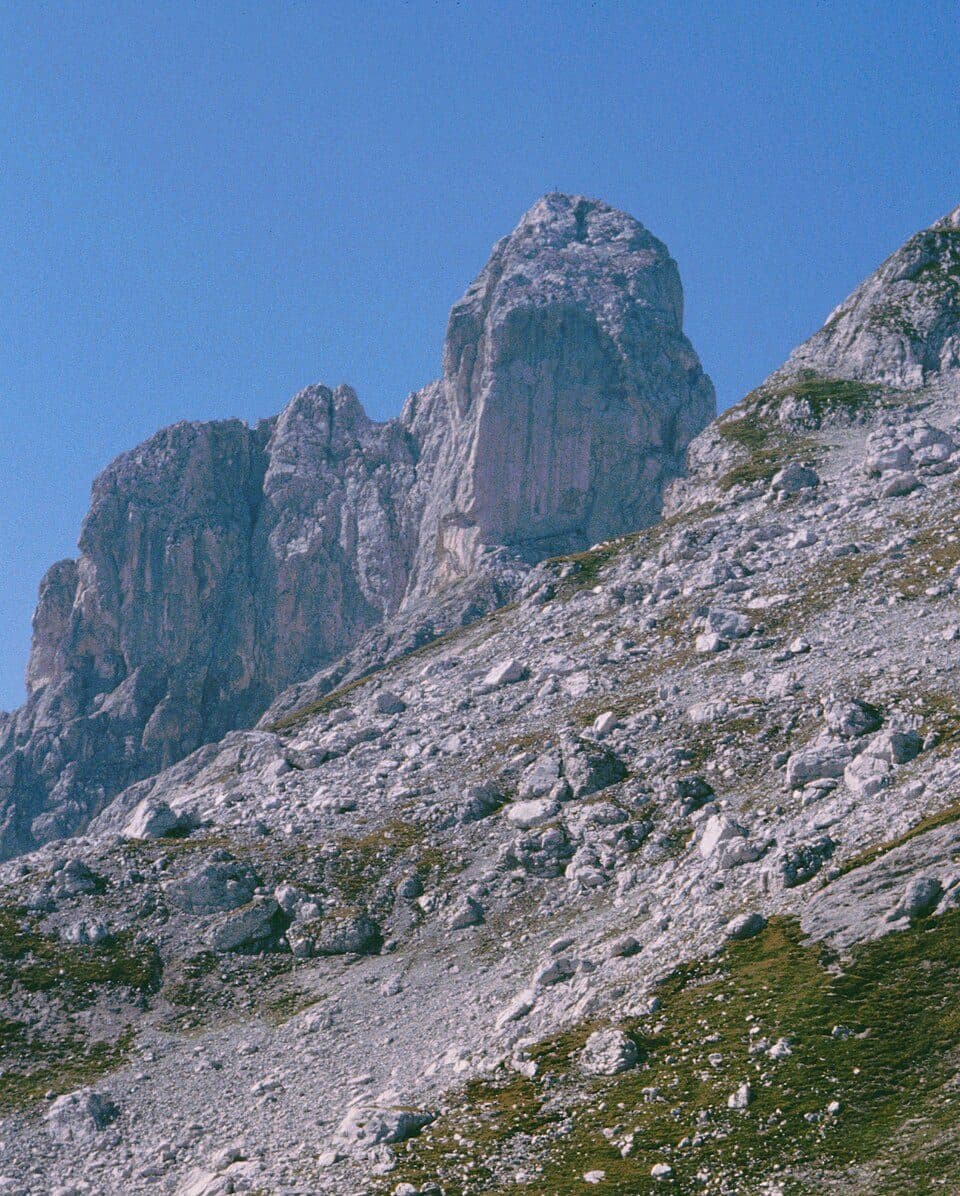 Bischofsmütze — fotografie 3