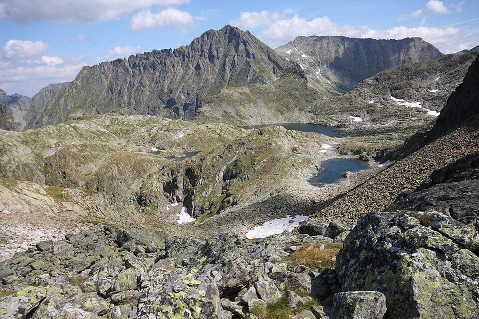 Waldhorn