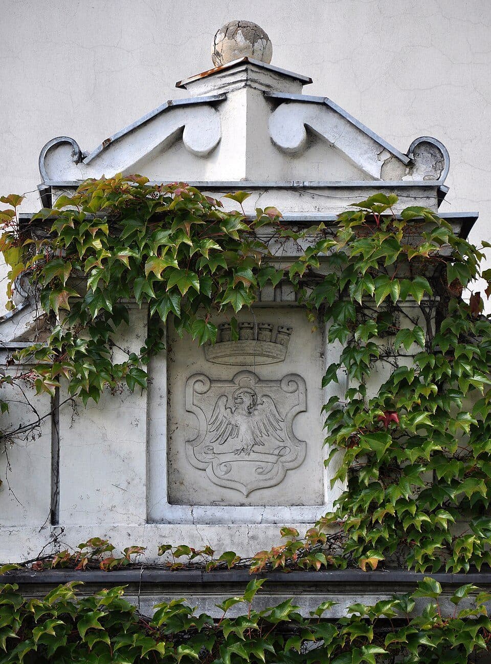 Paczków - Ziębice