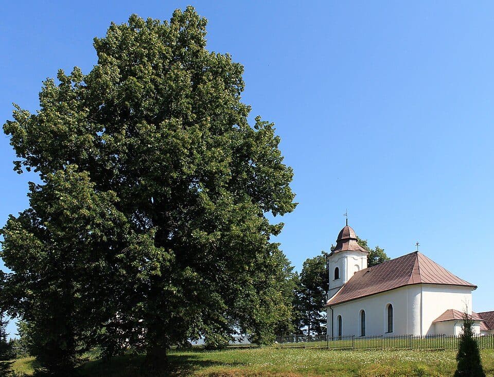 Hrochoť