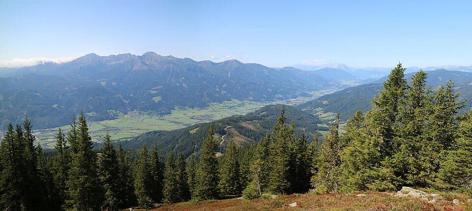 Paltental — photo 3