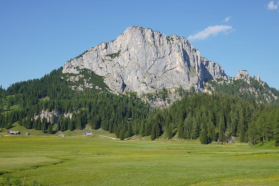 Stubwieswipfel
