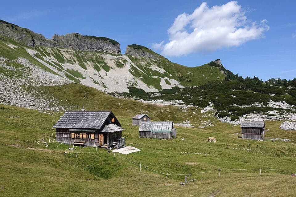 Bräuningalm