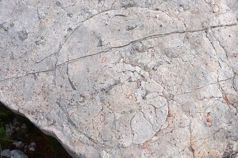 Kuhntal — Foto 3