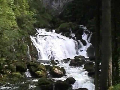 Pießling Ursprung — photo 3