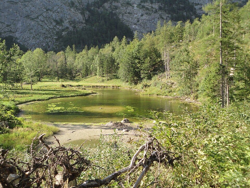 Ostersee — photo 3