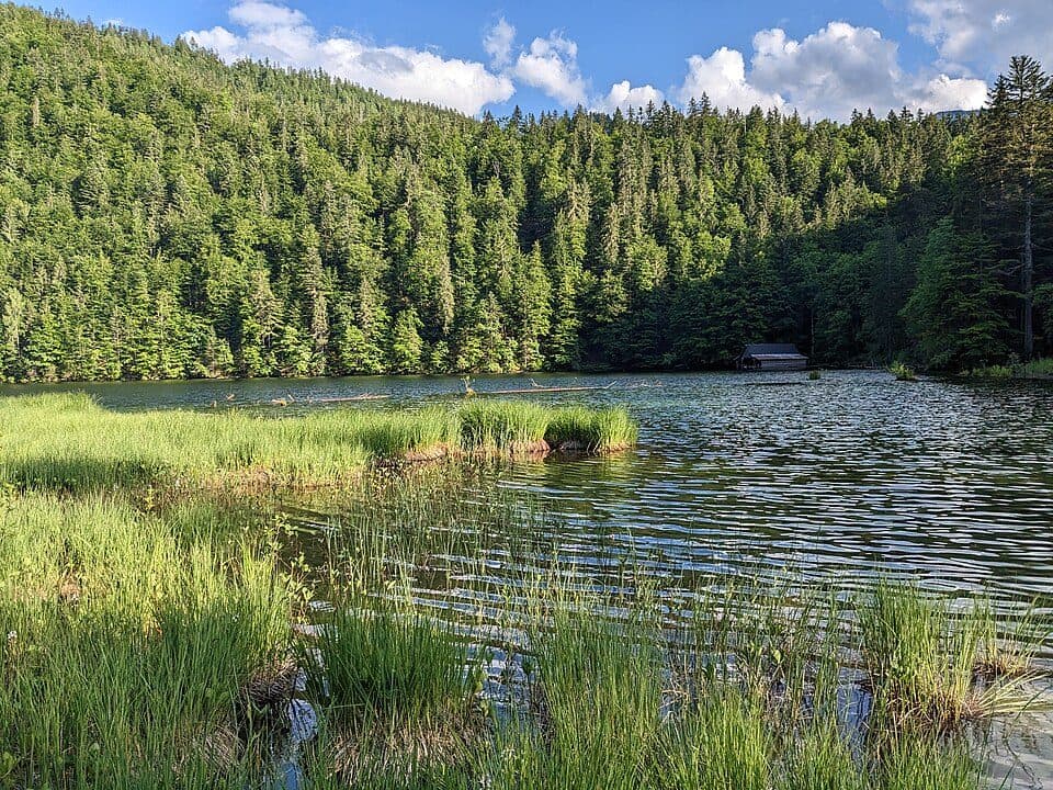 Toplitzsee — fotografie 3