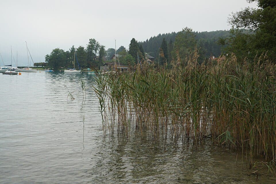 Attersee — Foto 3