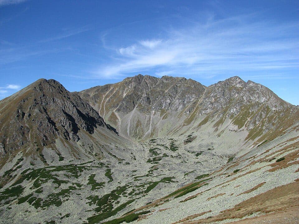 Geierhaupt