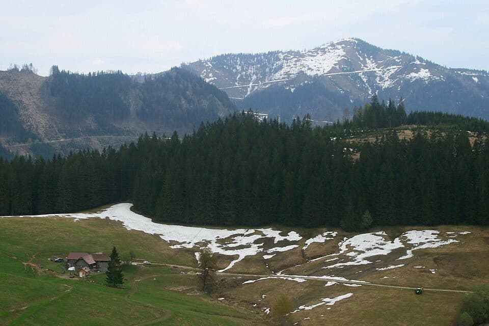 Bodenwies