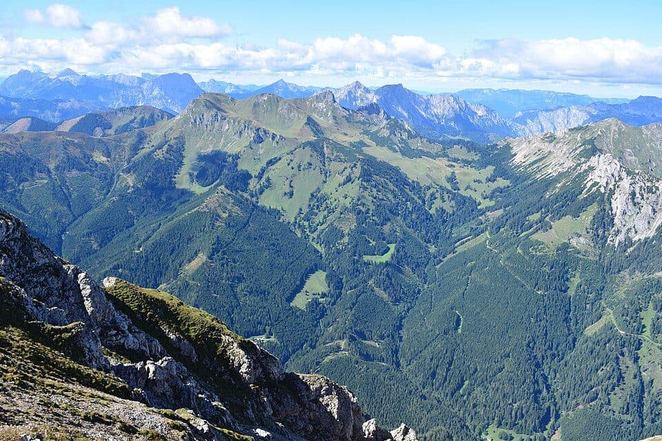 Wildfeld — zdjęcie 3