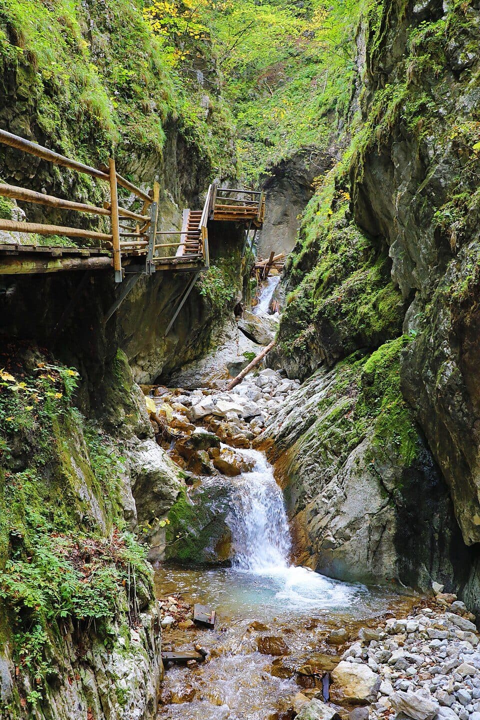 Dr. Vogelgesang Klamm