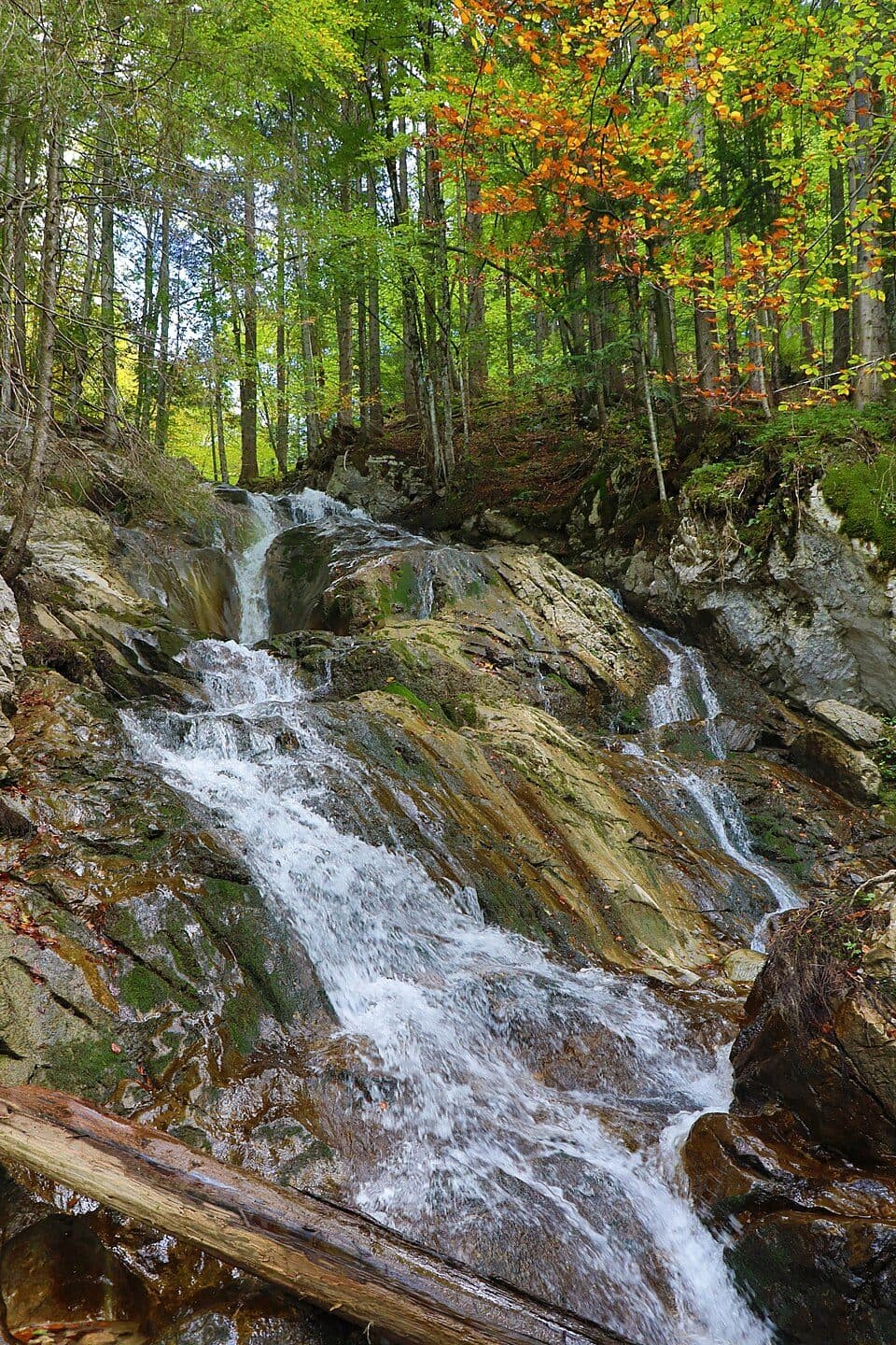 Dr. Vogelgesang Klamm — fotografie 2