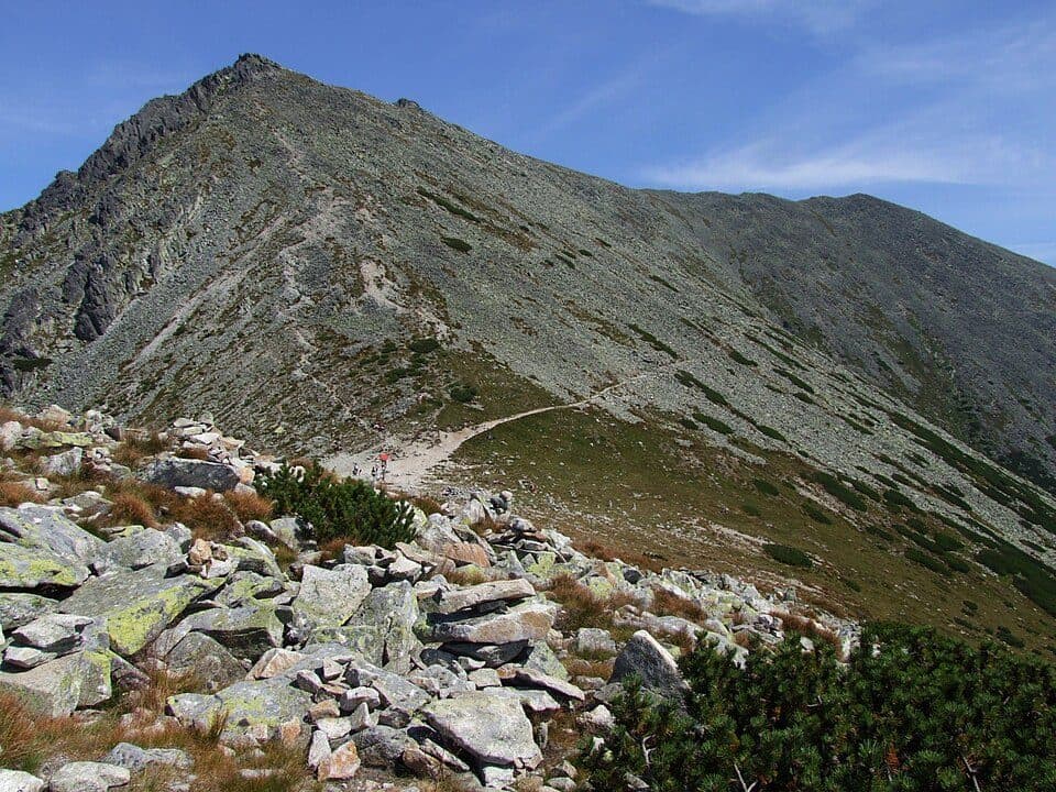 Tępa