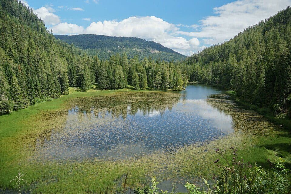 Flattnitzer See — fotografie 2