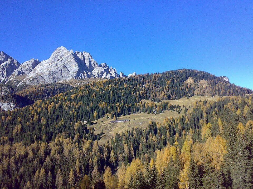 Monte Brentoni (Cima di Mezzo)