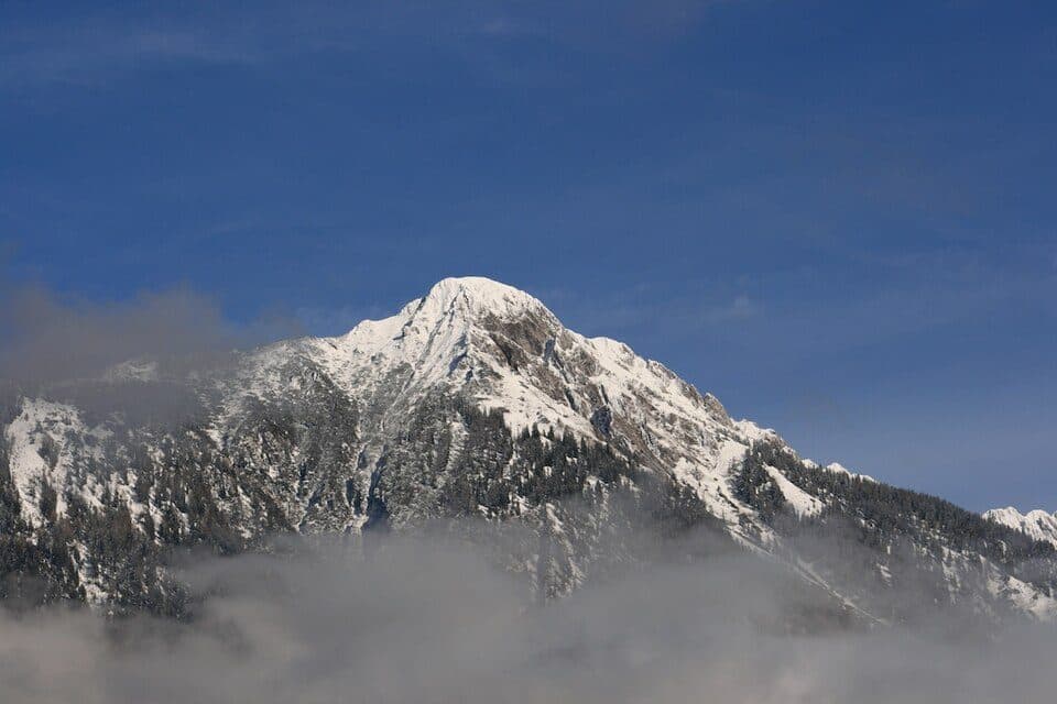 Spitzegel — fotografie 2