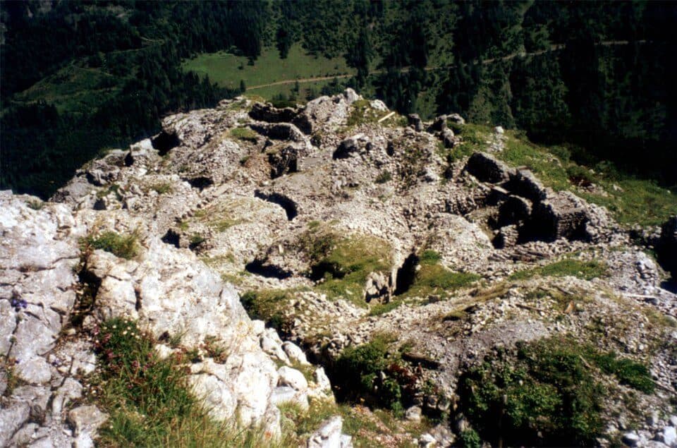 Kleiner Pal — fotografie 3