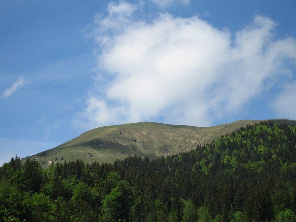 Golica — photo 3