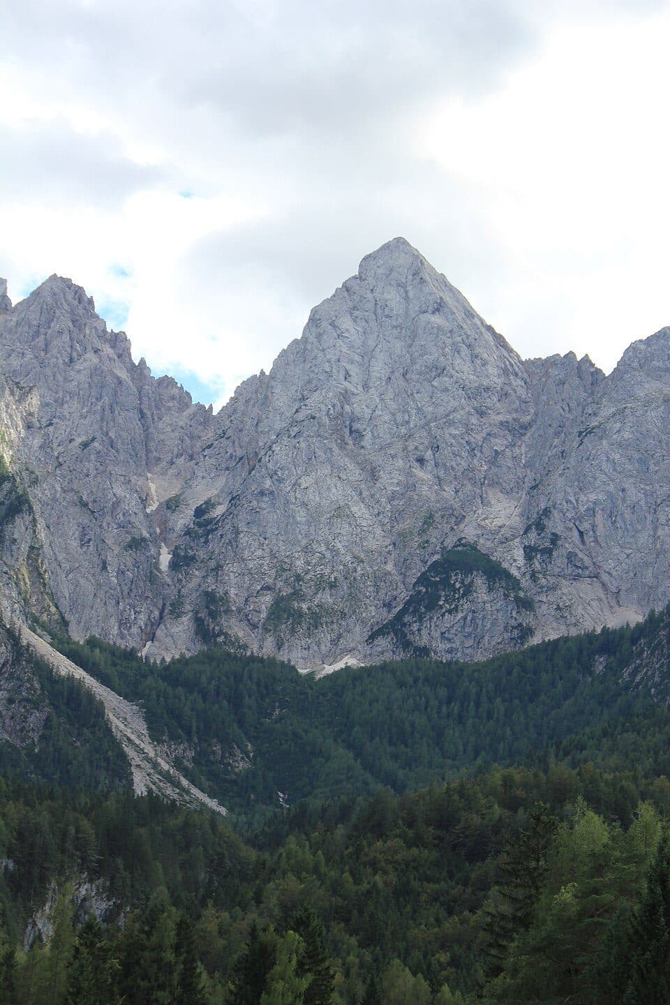 Špik