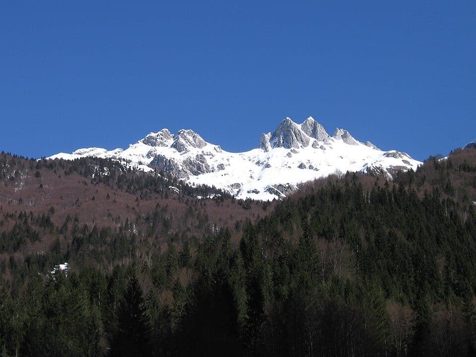 Male špice
