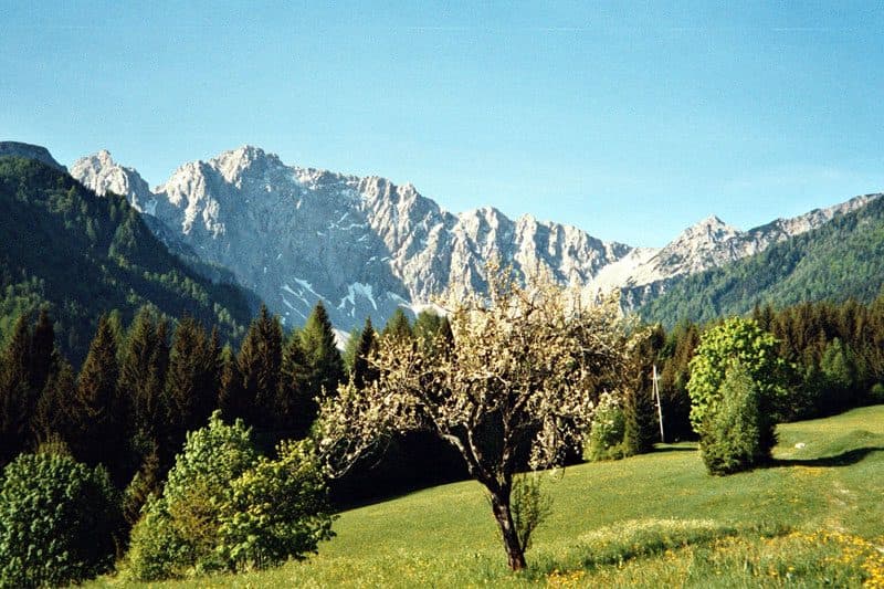 Wertatscha — photo 2