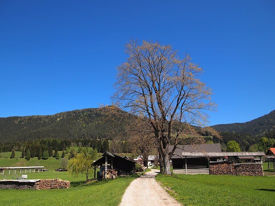Ratschacher/Weißenfelser-Sattel — zdjęcie 3
