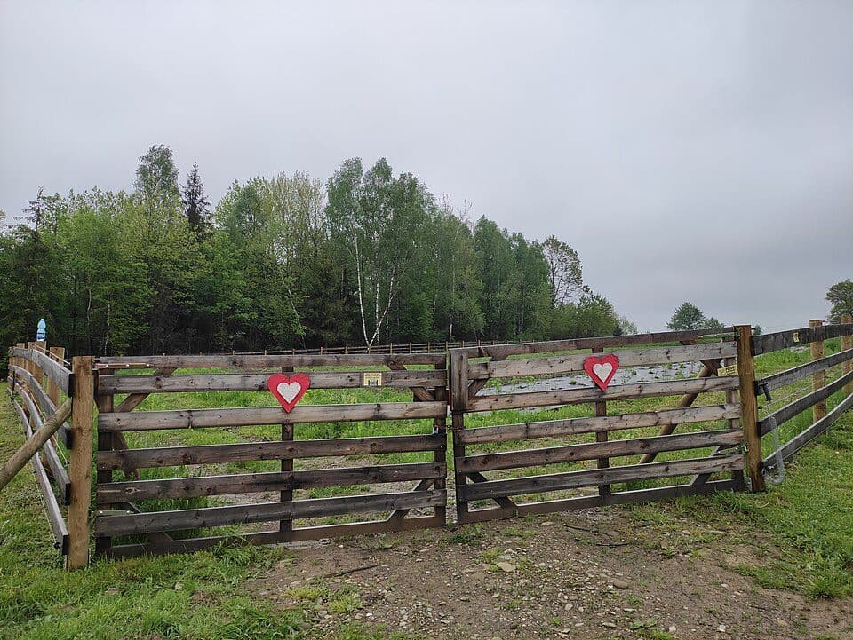 Kýčera - Oščadnica, Lalík