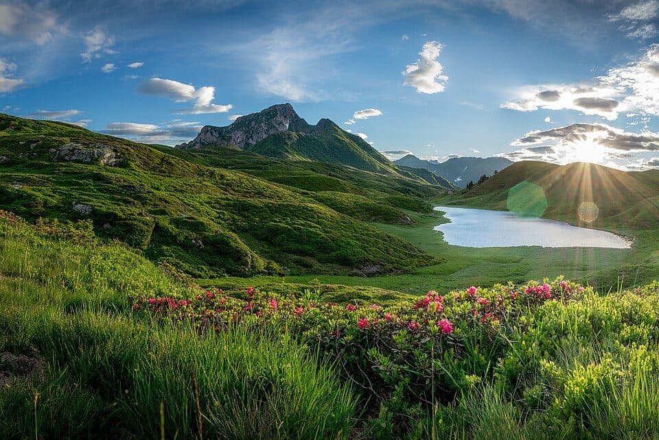 Zollnersee