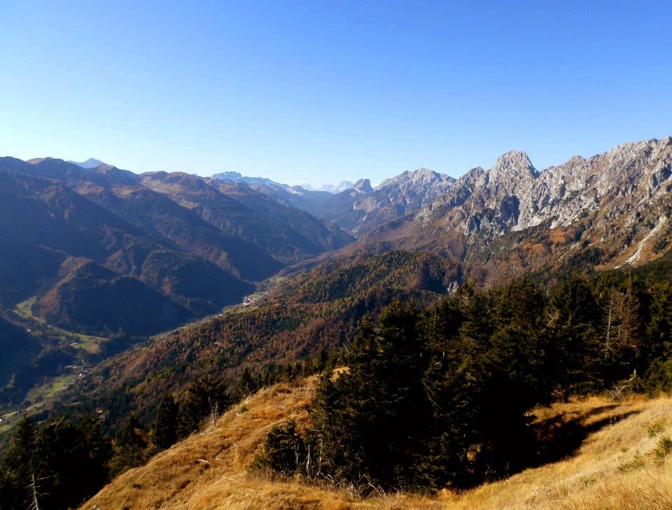 Val Pesarina / Cjanâl Pedarç