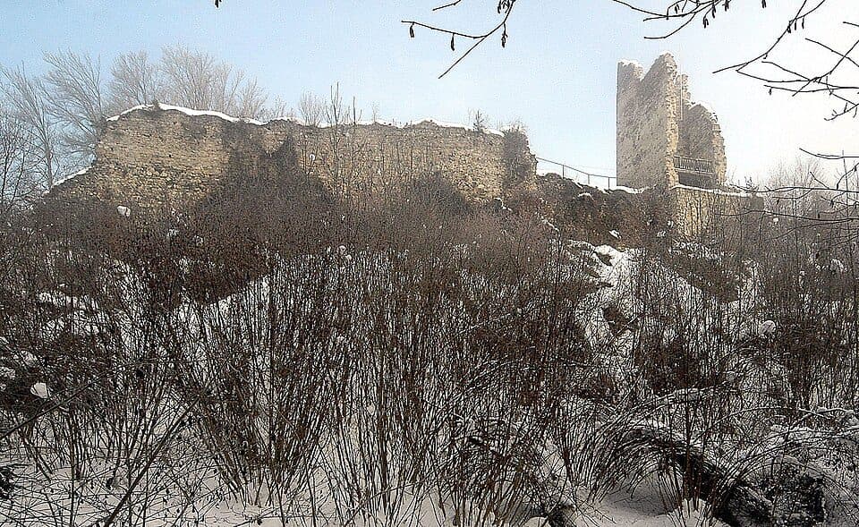 Burgruine Leonstein
