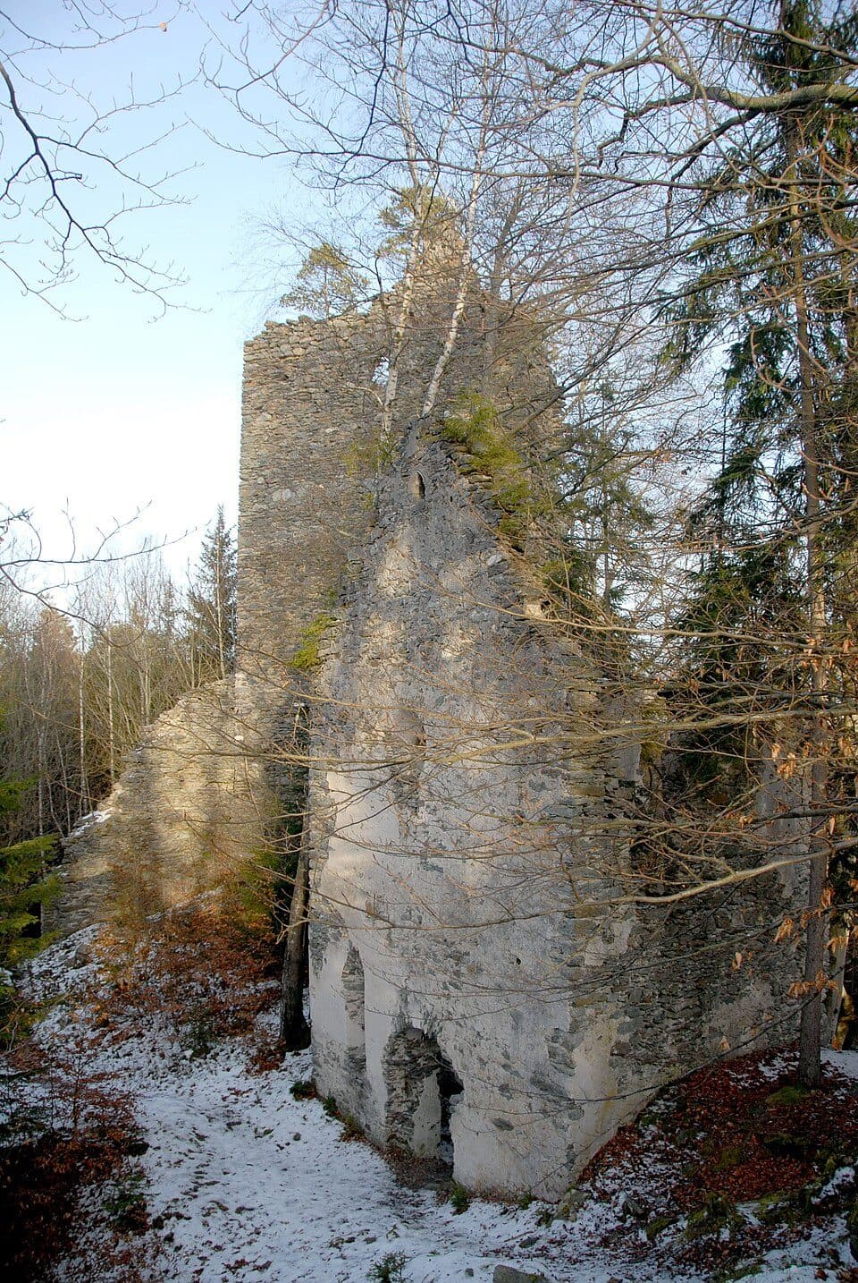 Burgruine Hochwart