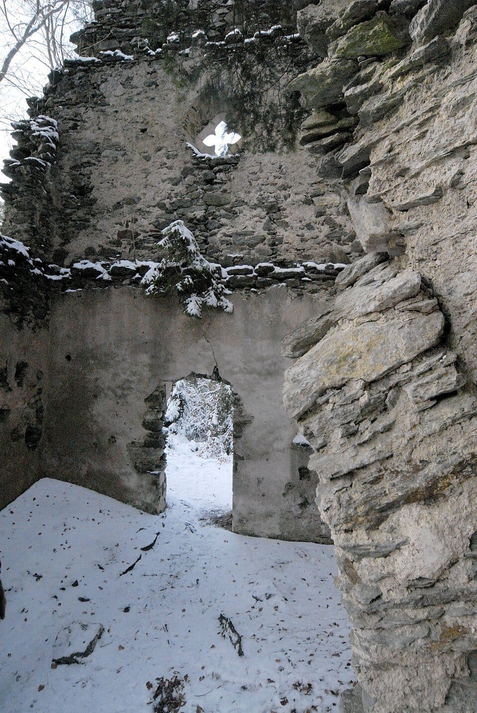 Burgruine Hochwart — Foto 2