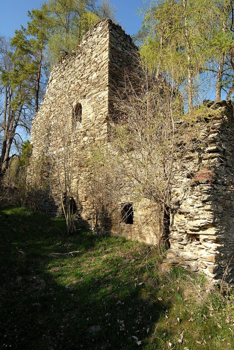 Burgruine Gradenegg — fotografie 2
