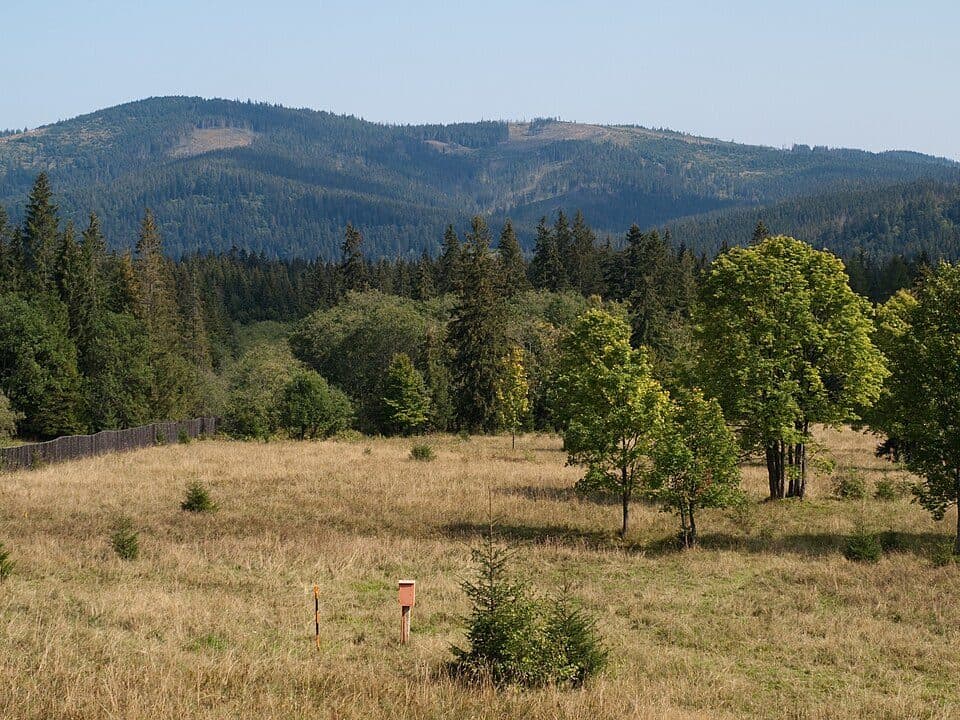 Spišská Magura