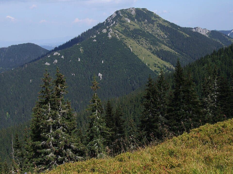Bobrowiec (Tatry) — zdjęcie 3