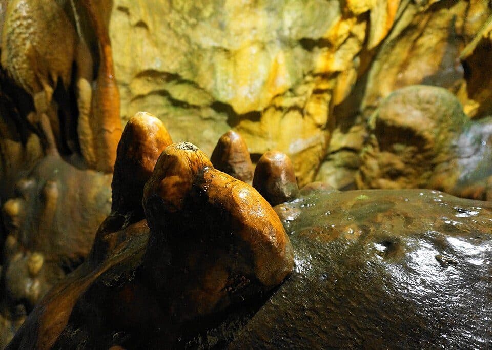 Griffener Tropfsteinhöhle — zdjęcie 3