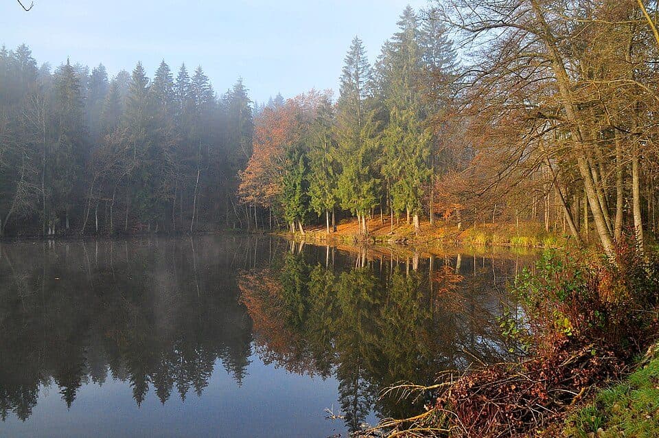 Hallegger Teiche — zdjęcie 2
