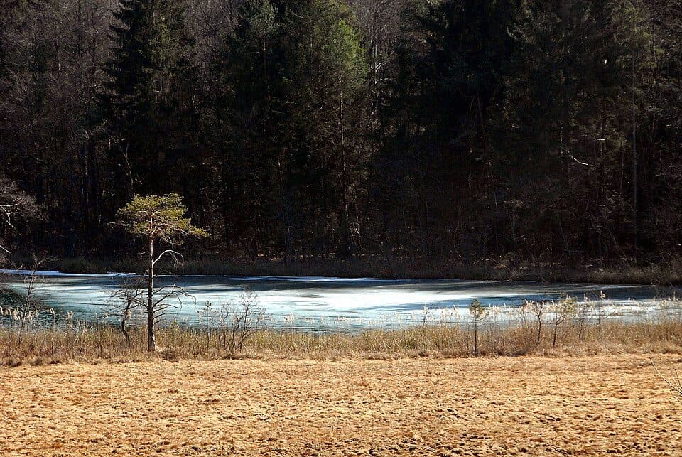 Baßgeigensee